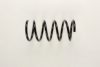 VOLVO 307488379 Coil Spring